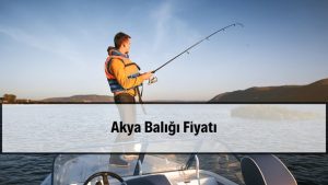 2026 Akya Balığı Fiyatları